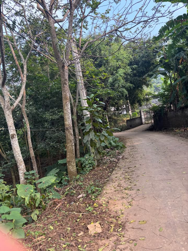 Đất Suối Hai Ba Vì 887.6m² giá 30 tỷ - Tiềm năng nghỉ dưỡng lớn!