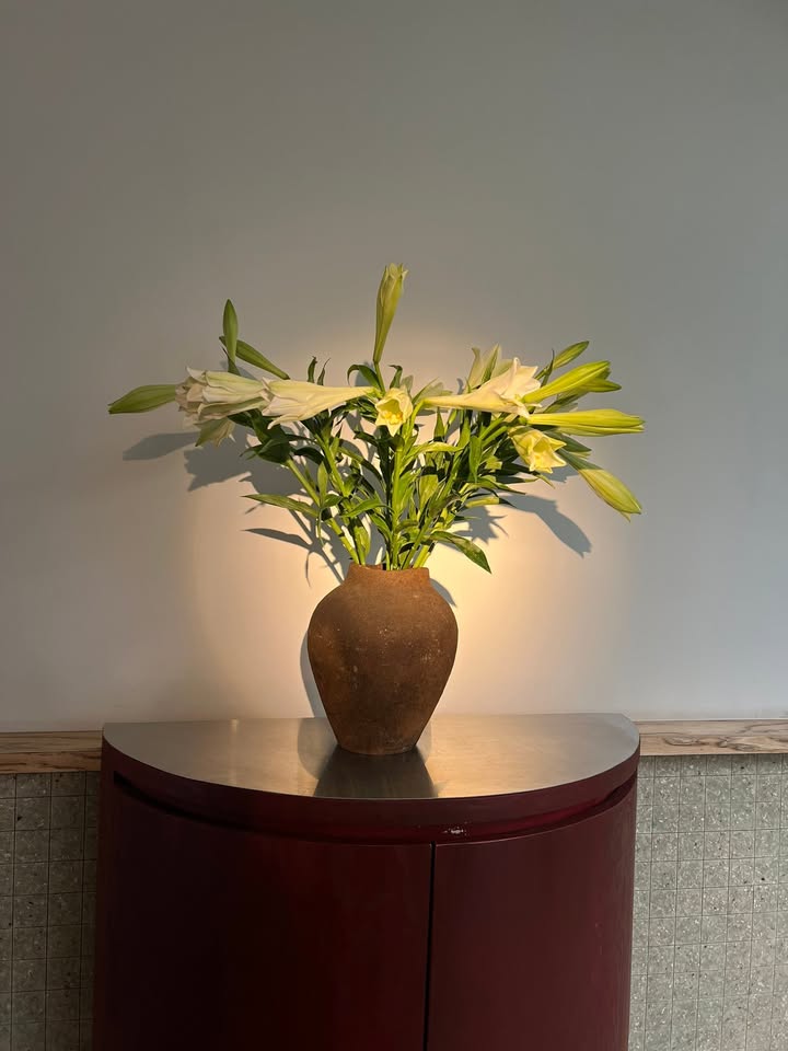 Căn hộ tầng trệt cư xá Nhiêu Tứ Phú Nhuận 64m² giá 4.5 tỷ - Sổ chính chủ, tiện ở và đầu tư!