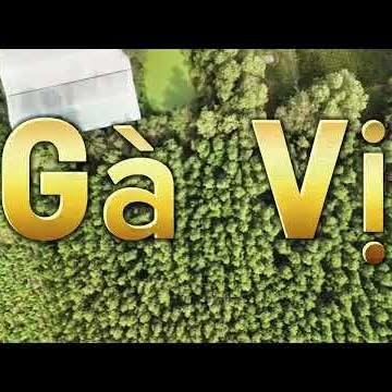 Farm 2 hecta tại Suối Bang, Hàm Tân - Giá 4.5 tỷ - Đầu tư sinh lời!