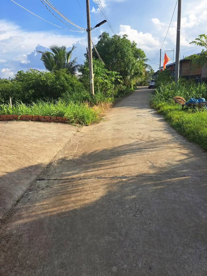 Đất lúa 1000m² tại Ấp 1, Hòa Phú, Châu Thành - Giá 1.25 tỷ, đường thông tứ hướng!