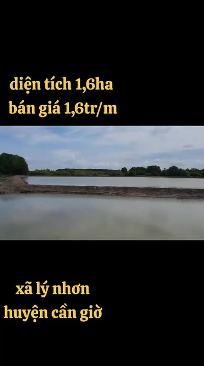 Đất nền đường Lý Nhơn, Cần Giờ, 16498m² giá chỉ 1,6 triệu/m² - Cơ hội đầu tư tuyệt vời!