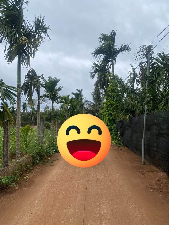 Đất thổ cư Thôn 8, Cư Kuin 135m² giá 612 triệu - Gần chợ, trường học!