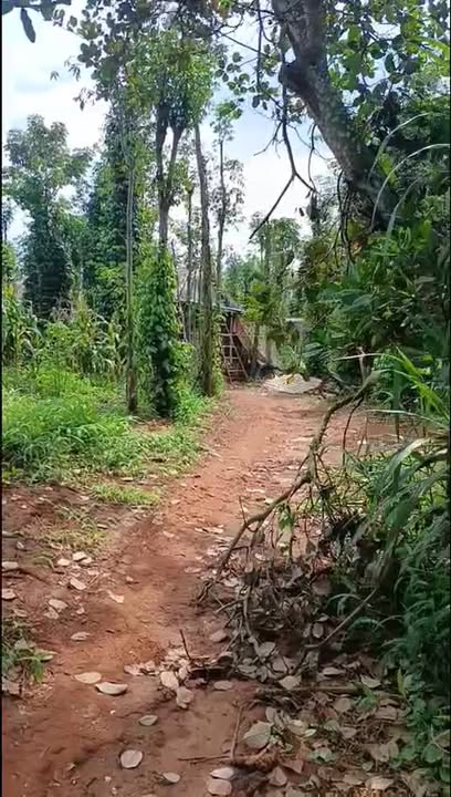 Đất nền Hòa Bình, Xuyên Mộc 1610m² giá 2.7 tỷ - Đầu tư sinh lời hấp dẫn!