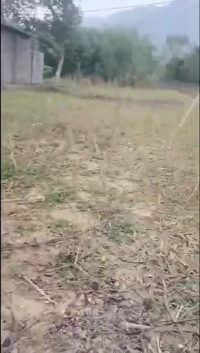 Bán lô đất 525,9m² xã Lương Sơn - Phú Thọ, giá 1.1 tỷ - Sổ hồng chính chủ!