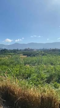 Đất nền 7.500m² Nam Ban Lâm Hà giá chỉ 10 tỷ - Cơ hội đầu tư hấp dẫn!