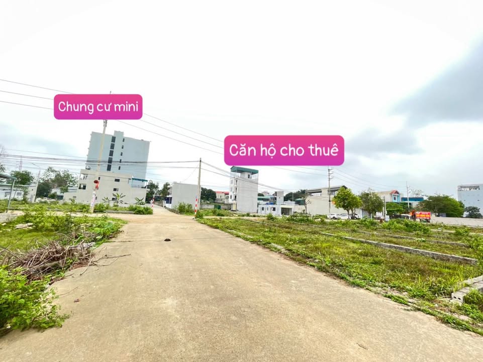 Đất thổ cư Thôn Hòa Lạc, Thạch Thất 103m² - Vị trí đắc địa, giá thỏa thuận!