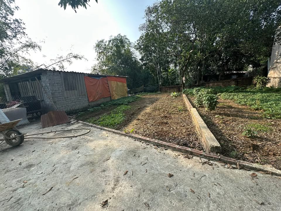 Đất thổ cư 100m² thôn Hoàng Xá Thạch Thất giá 1 tỷ - Ô tô đỗ cửa!