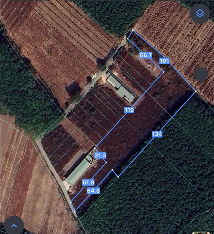 Đất nền 7000m² tại Tân Hiệp, Hóc Môn - Cơ hội đầu tư hấp dẫn!