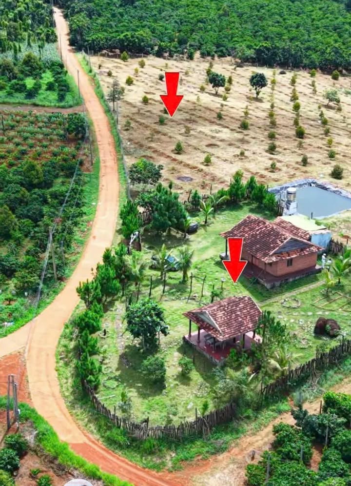 Đất nền Đăk Nia, Gia Nghĩa 520m² giá 350 triệu - Cơ hội đầu tư hấp dẫn!