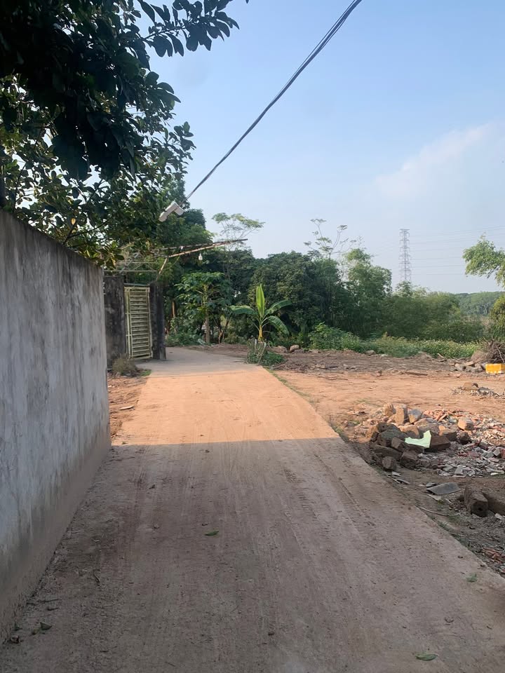 Đất trồng cây lâu năm 344m² tại Đại Thành, Quốc Oai - Cơ hội đầu tư hấp dẫn!