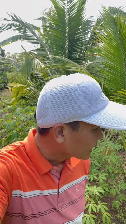 Đất nền Long Tuyền 1250m² giá 7.5 tỷ - Tiềm năng đầu tư lớn!