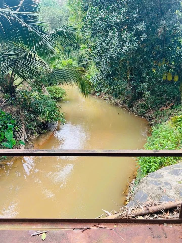 Đất + nhà Tân Lâm, Xuyên Mộc 40m² giá 1.19 tỷ - Lô góc 2 mặt tiền