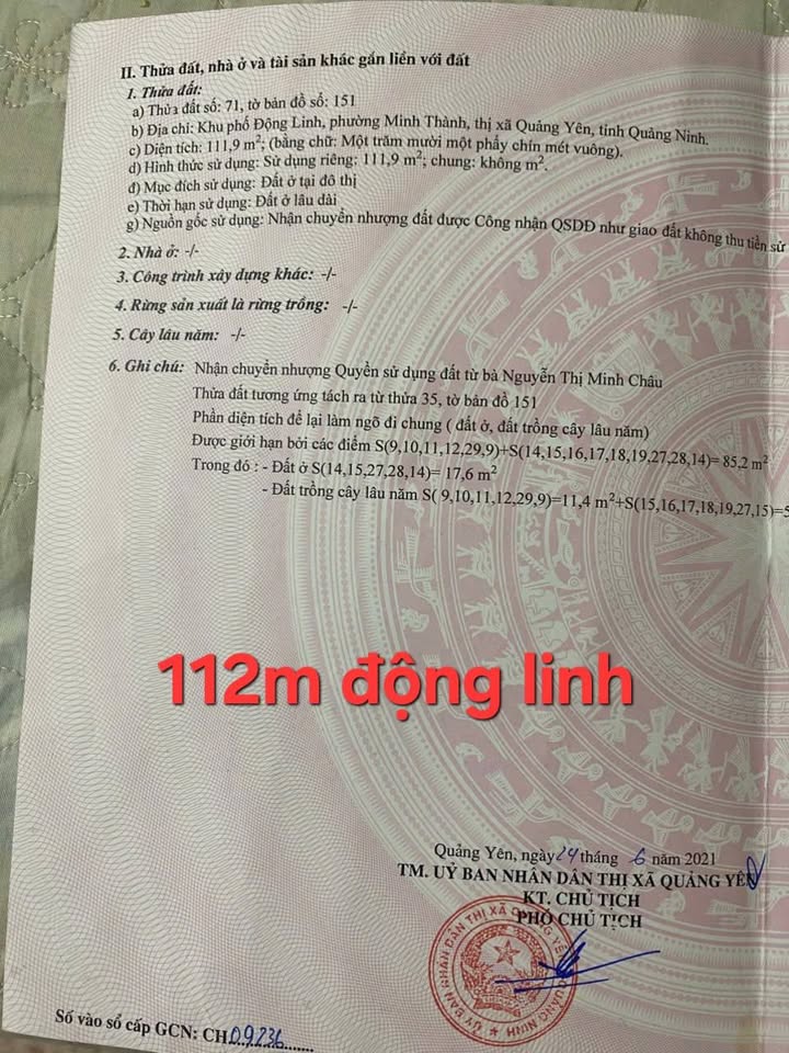 Đất nền phố Động Linh, Minh Thành, Quảng Yên 112m² giá 1 tỷ - Tiềm năng đầu tư hấp dẫn!