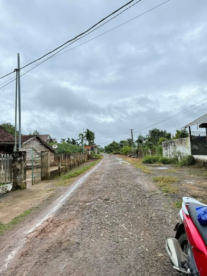 Đất đẹp Ea Kuăng 1125m² giá chỉ 1.95 tỷ - Đầu tư sinh lời nhanh!