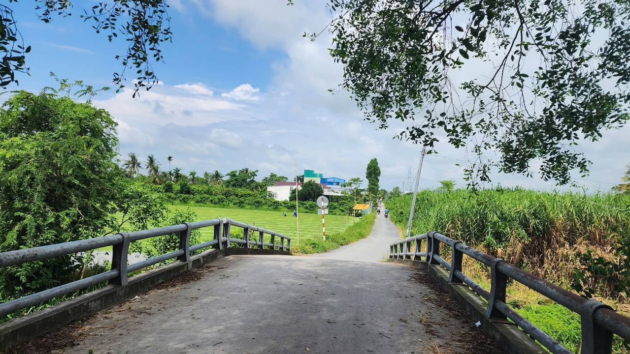 Đất nền Ô Môn 156m² giá chỉ 600 triệu - Đầu tư sinh lời ngay!