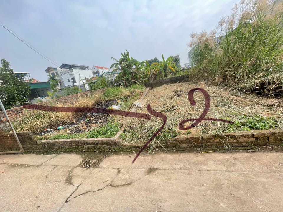 Nhà phố Thư Phú, Thường Tín 50m² giá 2 tỷ - Tiện ích đầy đủ, sẵn sàng vào ở!