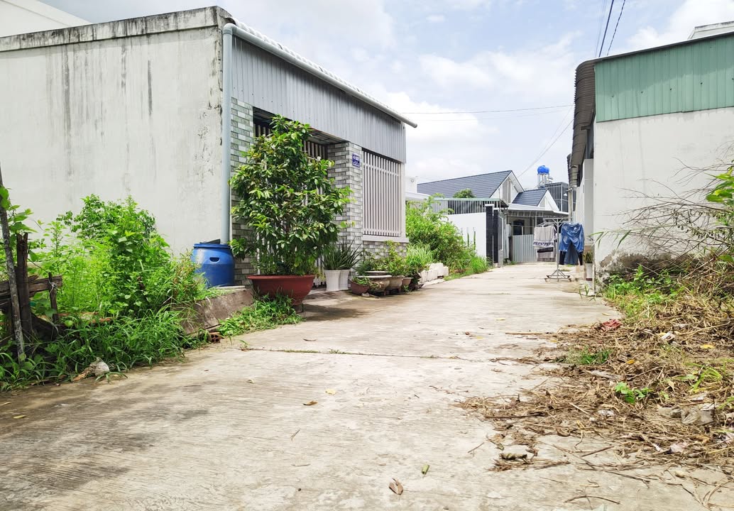 Đất Phú Khương Bến Tre 125m² giá 1.25 tỷ - Sổ đỏ chính chủ, thổ cư 100%!