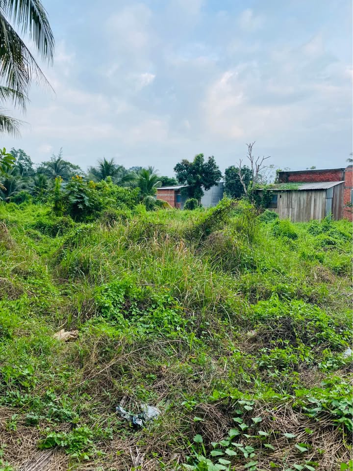 Đất vườn Phú Túc 1100m² giá 1.25 tỷ - Mặt tiền đường xe tải 20m!