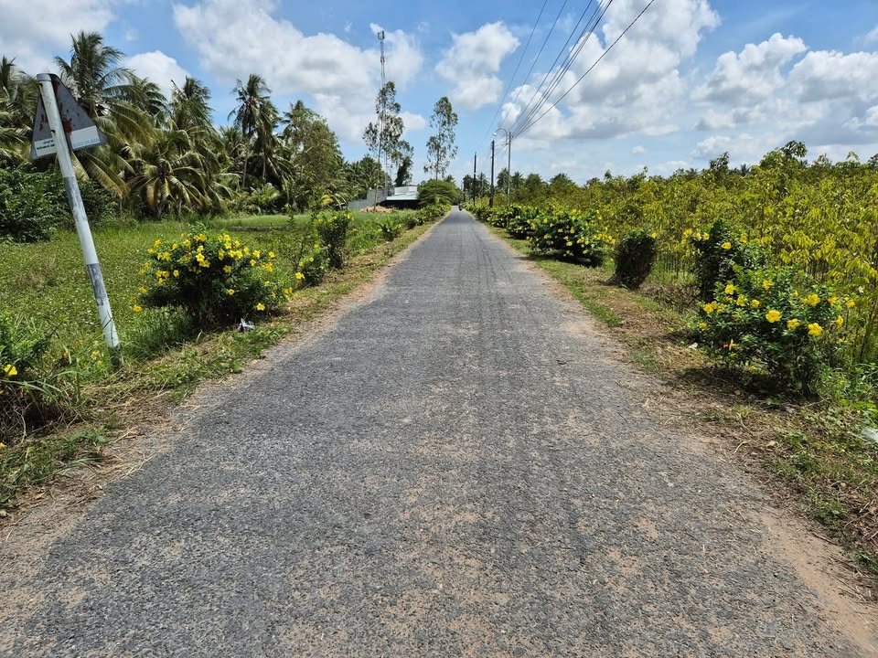 Đất thổ cư 136m² Tân Long Hội giá chỉ 320 triệu - Cơ hội đầu tư sinh lời