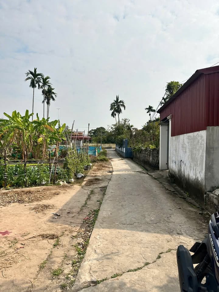 Đất nền góc tuyệt đẹp tại Minh Đức, Đồ Sơn - 71.5m² giá chỉ 1 tỷ!