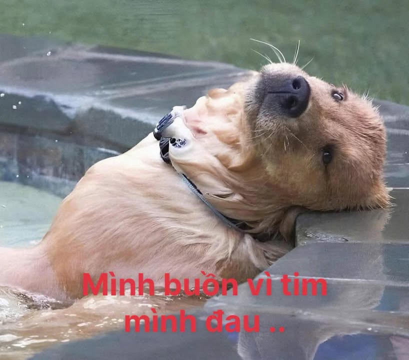 Đất TĐC Phước Mỹ Quy Nhơn 200m² giá 900 triệu - Sổ hồng trao tay!