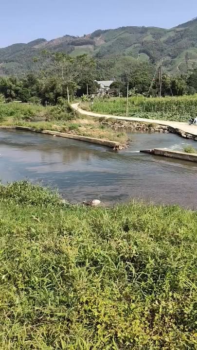 Đất nền Hương Cần, Thanh Sơn, Phú Thọ 7000m² giá 2 tỷ - View cao thoáng lý tưởng!