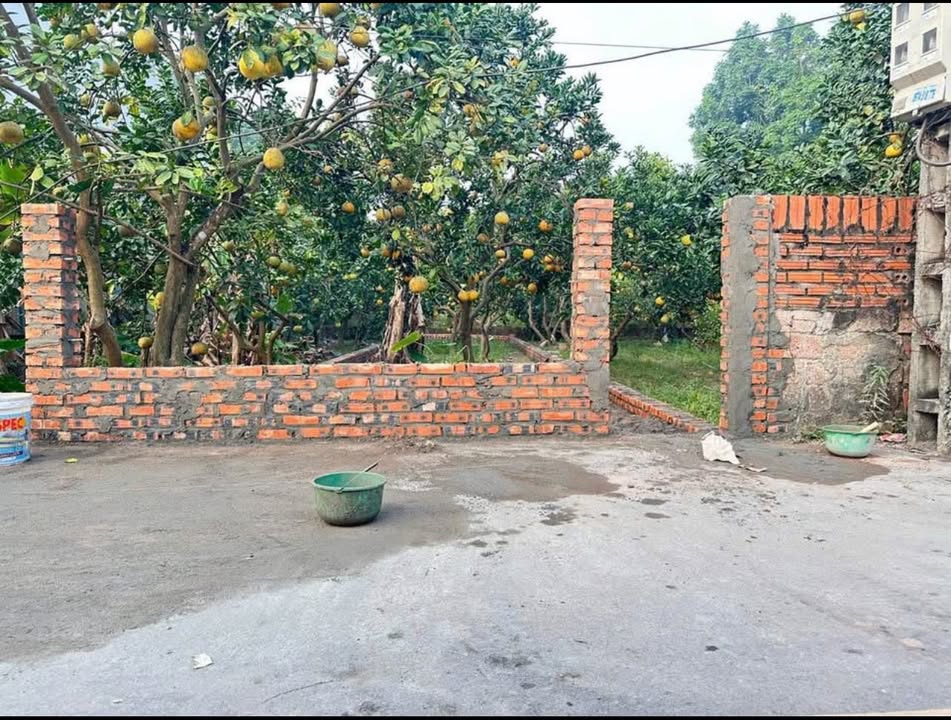 Đất nền Hát Môn, Phúc Thọ 99m² giá 4 tỷ - Vị trí kinh doanh đắc địa!