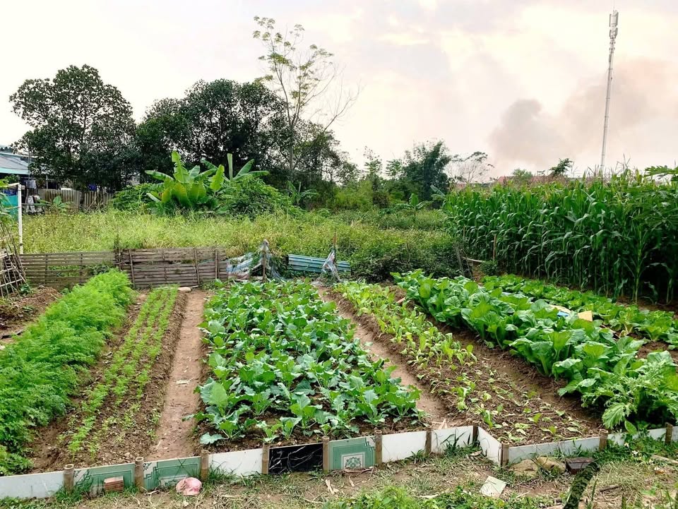 Đất nền thôn 2 Quảng Minh 160m² giá chỉ 1 tỷ - Cơ hội đầu tư hấp dẫn!