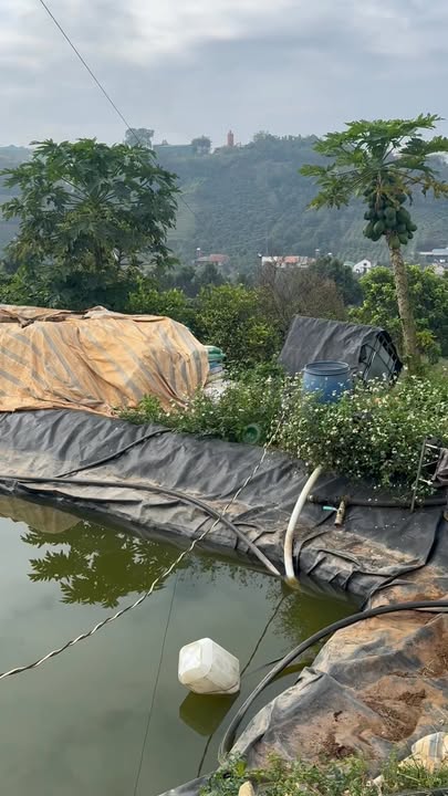 Đất nền Tân Hà Lâm Hà 7600m² giá 4.9 tỷ - Đầy đủ tiện nghi, vị trí thuận lợi!