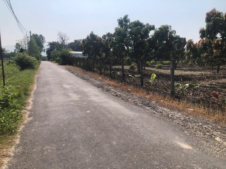 Đất nền Suối Tiên - Diên Khánh 345m² giá chỉ 1.595 tỷ - Đường nhựa 15m, pháp lý rõ ràng!