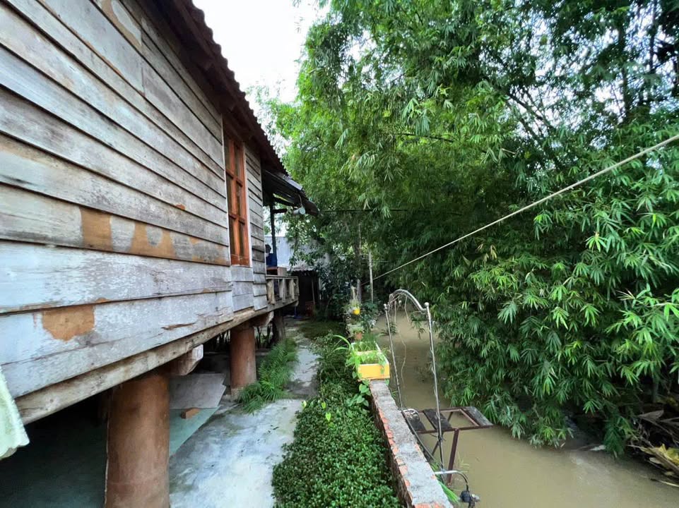 Đất nền Suối Hiệp 147,6m² giá 930 triệu - Tặng nhà sàn gỗ mát mẻ!