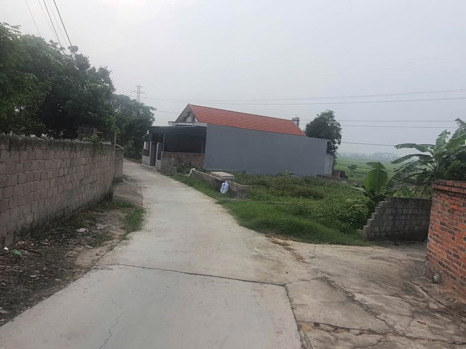 Đất thổ cư Tràng An Đông Triều 161.6m² giá 600 triệu - Cơ hội đầu tư hấp dẫn!