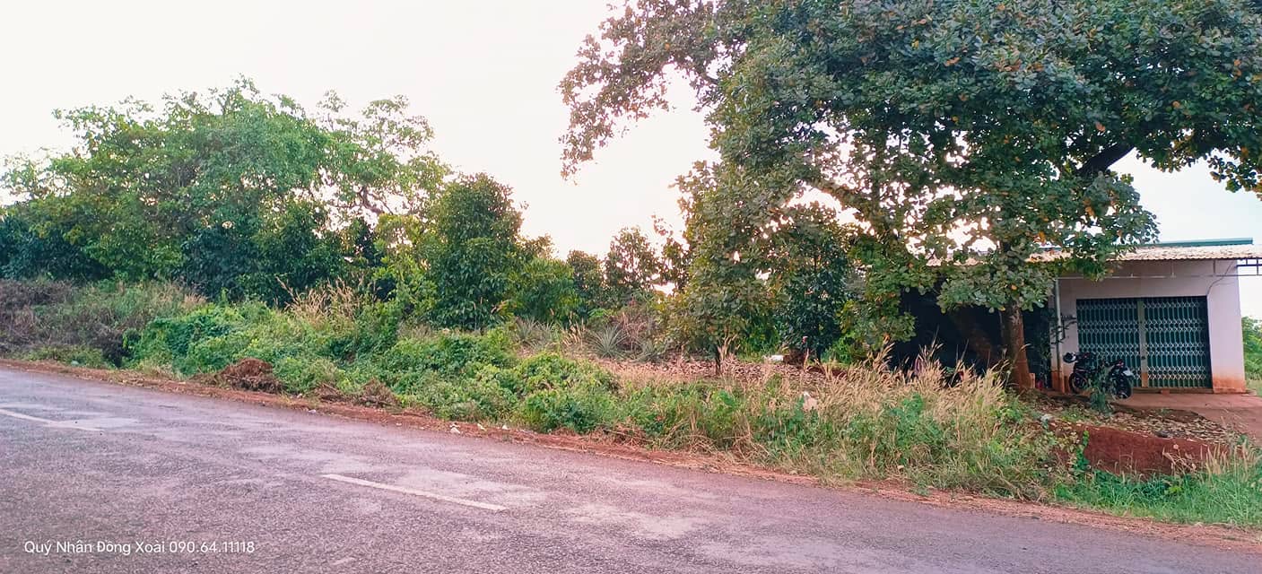 Đất nền mặt tiền ĐT753 Tân Hưng 640m² giá 150 triệu - Cơ hội đầu tư tuyệt vời!