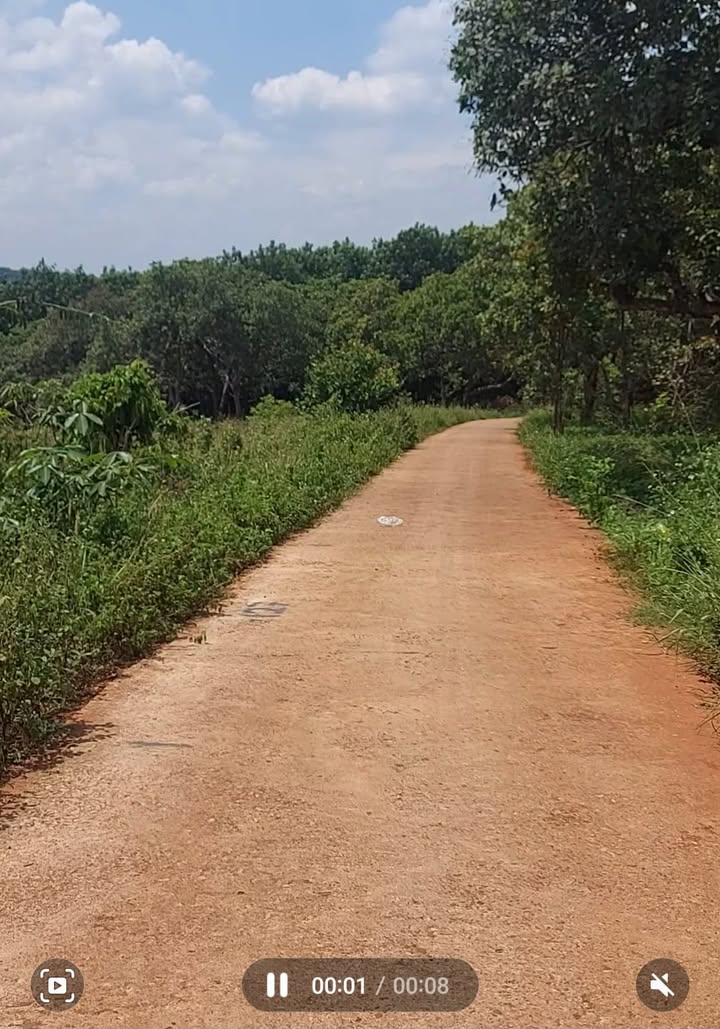 Đất nền 2000m² Nghĩa Trung Bù Đăng giá chỉ 300 triệu - Sổ đỏ chính chủ!