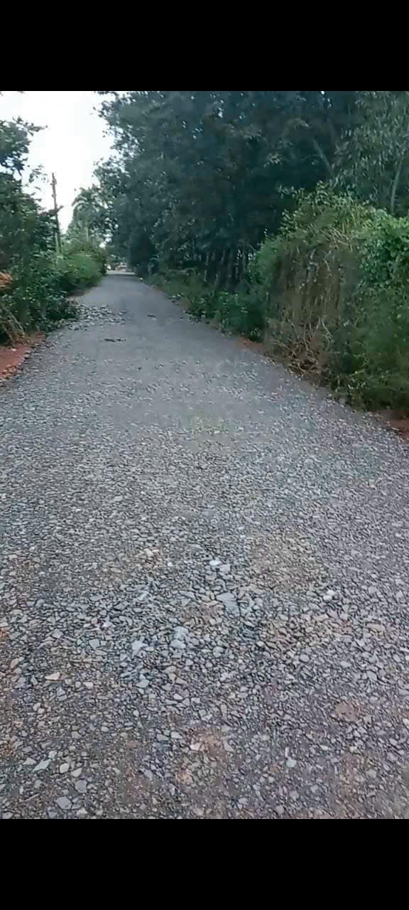 Đất nền Tân Hội, Tân Châu 450m² giá 1 tỷ - Đường thông tứ hướng!