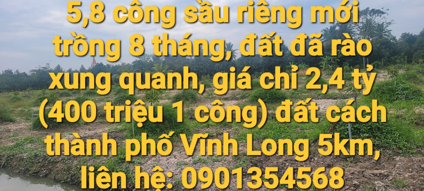 Đất vườn Đồng Phú, Long Hồ 20,880m² giá 2.4 tỷ - Đầu tư sinh lời hấp dẫn!