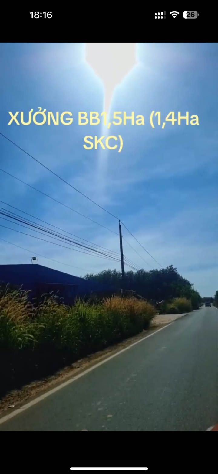 Xưởng cho thuê Trừ Văn Thố Bàu Bàng 15.000m² giá 300 triệu - Đầu tư sinh lời ngay!