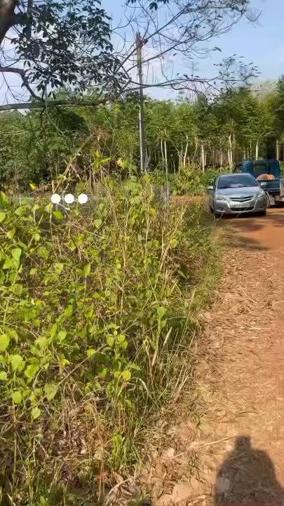 Đất nền An Linh, Phú Giáo 225m² giá 450 triệu - Đầu tư sinh lời nhanh chóng!