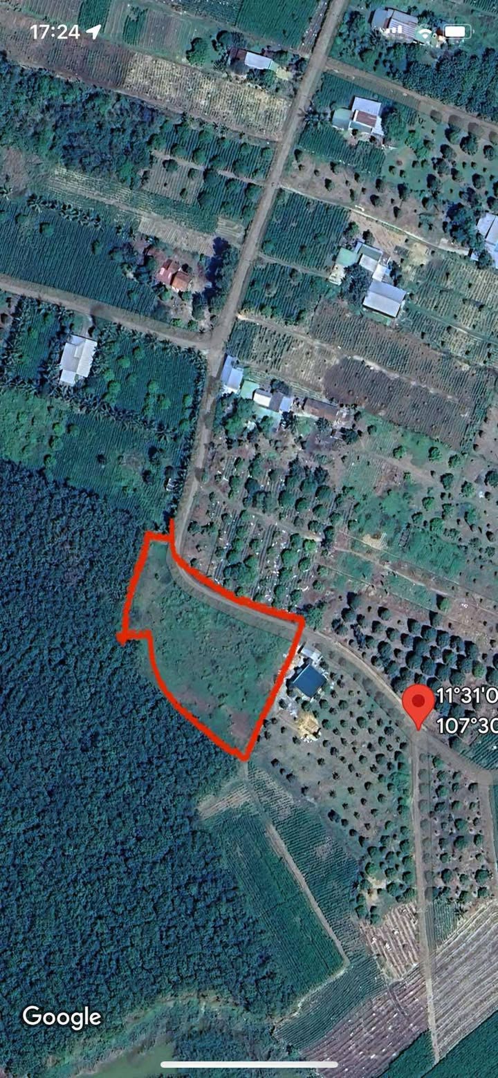 Đất thổ cư 3,7 sào tại thôn Phú Hòa, xã Mỹ Đức, giá chỉ 1,2 tỷ - Sổ đỏ chính chủ!