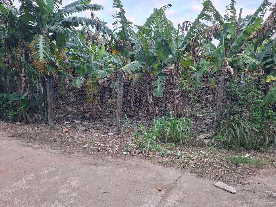 Lô đất La Hà 100m² giá chỉ 500 triệu - Cơ hội đầu tư tuyệt vời!