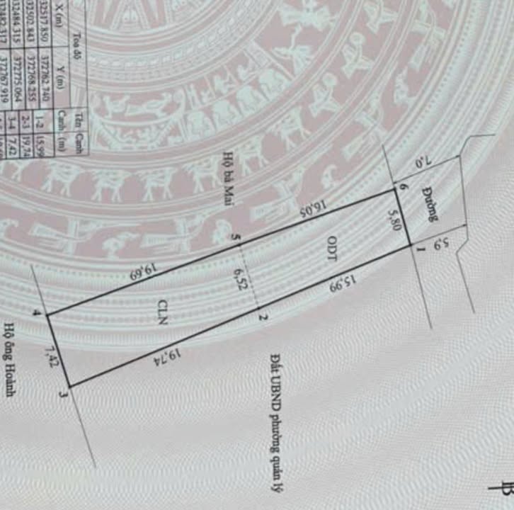 Đất nền Đức Chính, Đông Triều 237.5m² - Giá chưa đến 1.2 tỷ, cơ hội đầu tư tuyệt vời!