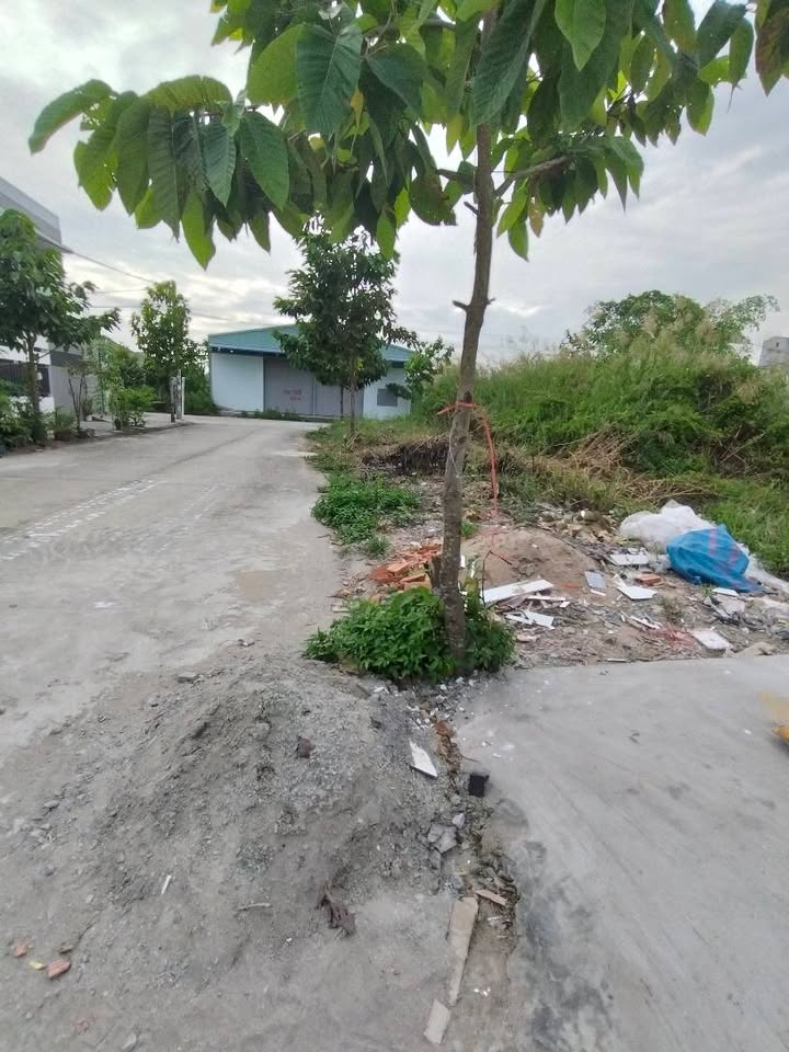 Nhà mới hoàn thiện tại Bình An, Châu Thành, An Giang 100m² giá 1.19 tỷ - Chính chủ bán gấp!