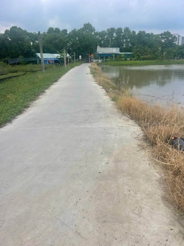 Đất trồng lúa Long Hiệp Bến Lức 3881m² giá 2.5 tỷ - Đầu tư sinh lời tốt!