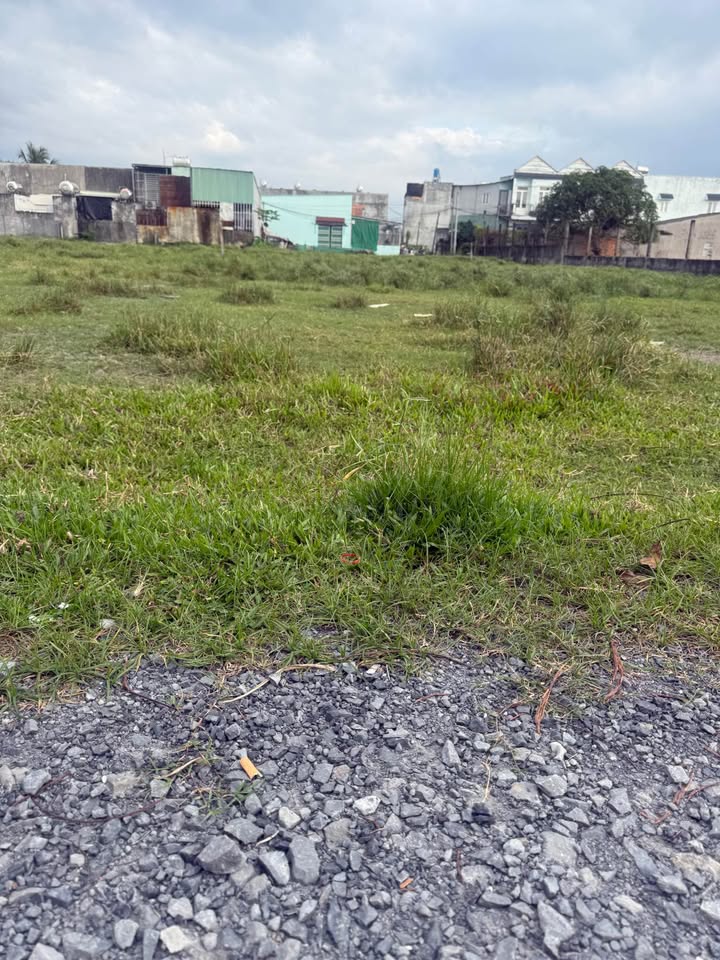 Đất nền thổ cư 230m² tại Mỹ Hạnh Nam, Đức Hòa - Giá chỉ 1.25 tỷ, đầu tư sinh lời!