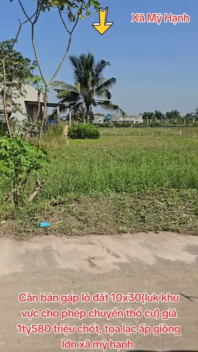 Đất thổ cư 300m² tại ấp Giồng Lớn, Long An - Giá chỉ 1.58 tỷ, chính chủ bán gấp!