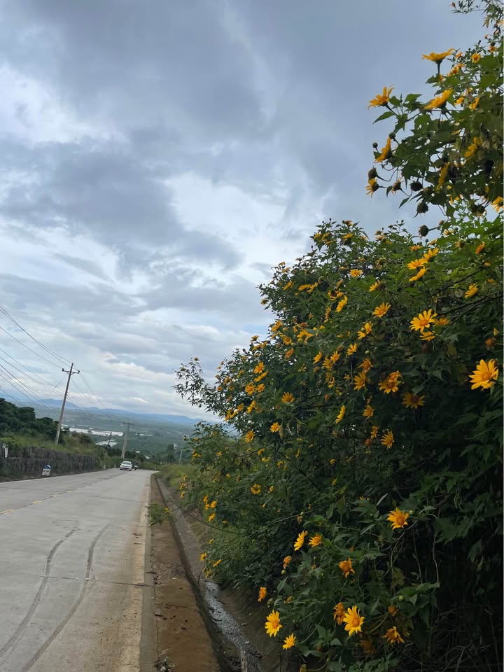 Đất thổ cư Liên Nghĩa 120m² giá 1.1 tỷ - Chính chủ cần bán gấp!