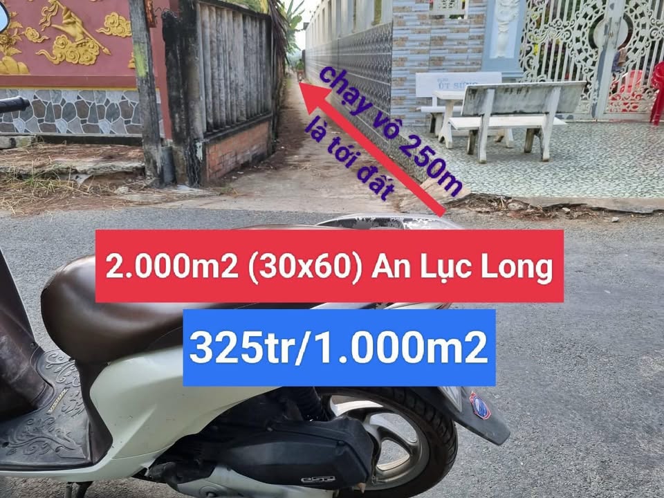 Đất nông nghiệp 2000m² xã An Lục Long, Châu Thành, Long An giá 650 triệu - Cơ hội đầu tư hấp dẫn!
