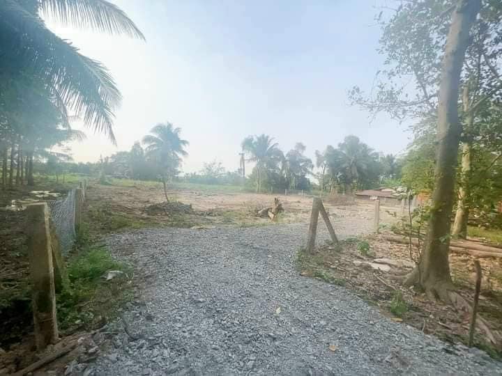 Đất vườn Nhựt Chánh Bến Lức 970m² giá 820 triệu - Sổ hồng chính chủ