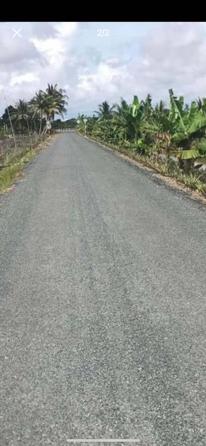 Đất nền lộ nhựa 1.000m² Hậu Giang giá 385 triệu - Sổ đỏ chính chủ, sang tên nhanh chóng!