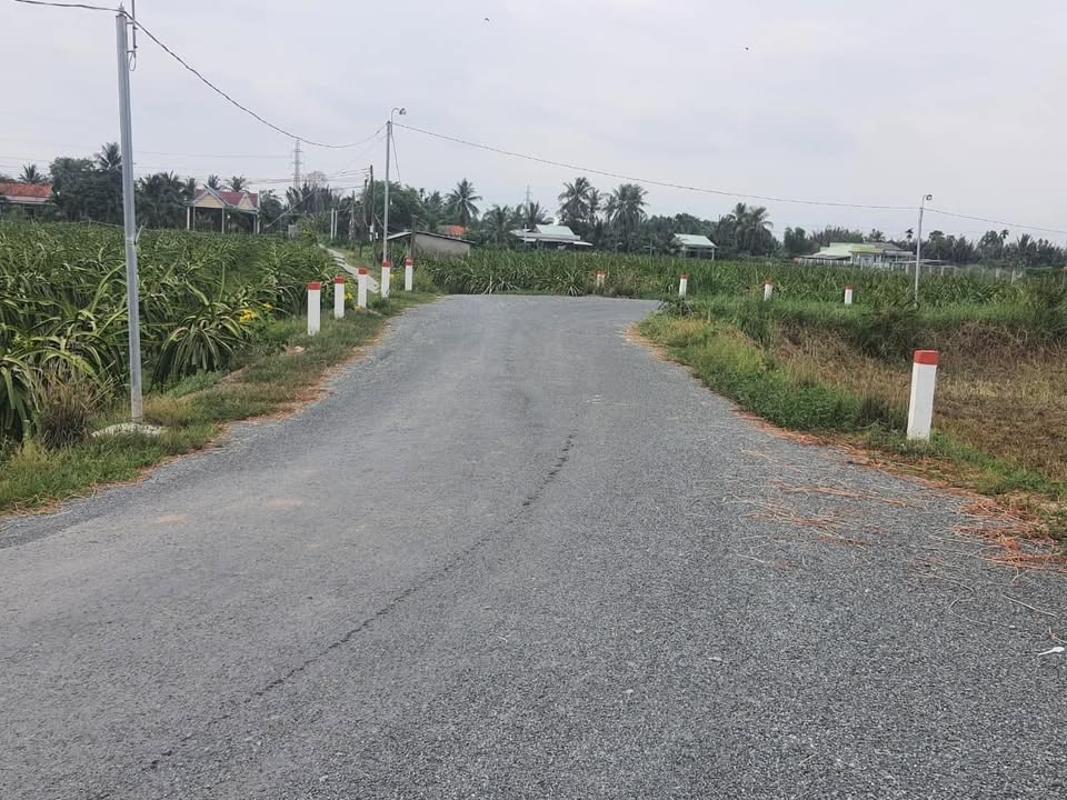 Đất nền liền kề hẻm đá xanh Huỳnh Công Phên 174m² giá 870 triệu - Đầu tư sinh lời ngay!